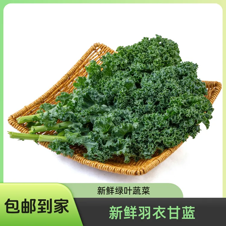 羽衣甘蓝新鲜蔬菜叶子上海农场现采顺丰包邮网红代餐