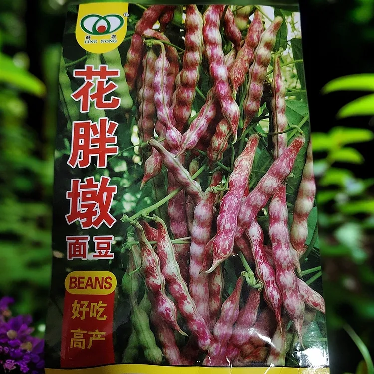 花胖墩面豆豆角籽50克