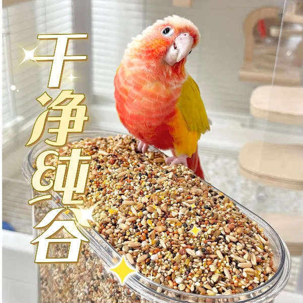 【种子粮】玄凤虎皮牡丹小太阳鹦鹉食粮鹦鹉专用营养鸟食鹦鹉鸟粮