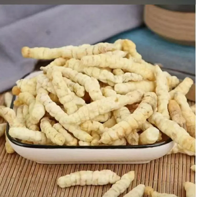 滋补白蟲草      