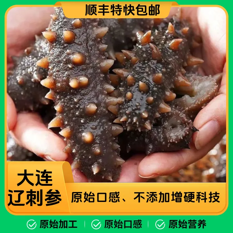 【买二送二】大连深海辽刺参鲜蒸即食海参王4-7头/500g开袋即食海参