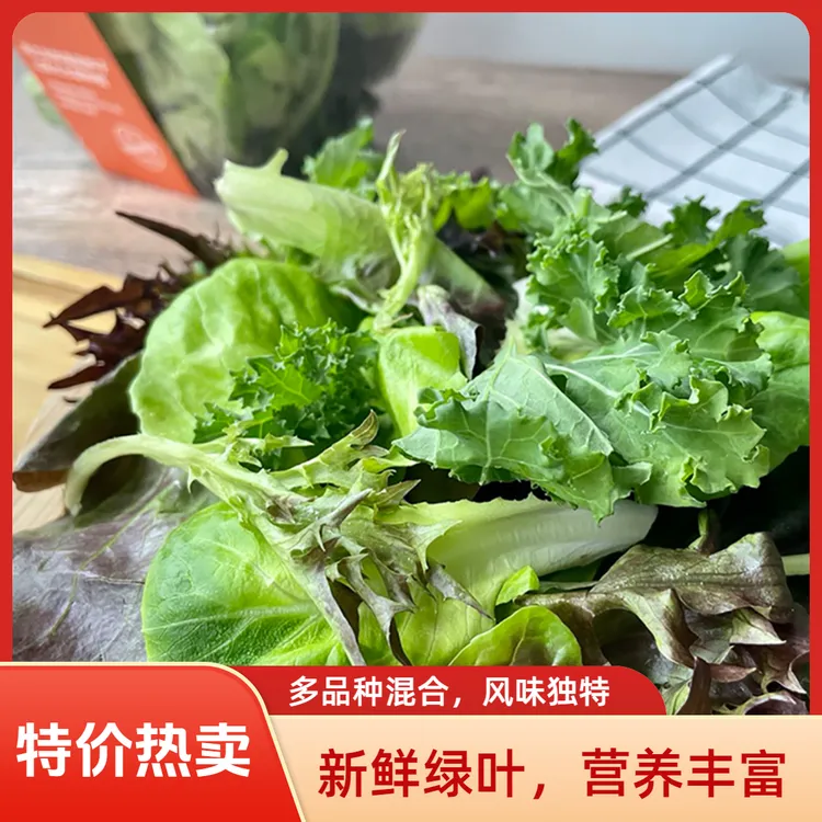 Aqua green 特选田园沙拉包  口感甜脆沙拉必备 顺丰直发