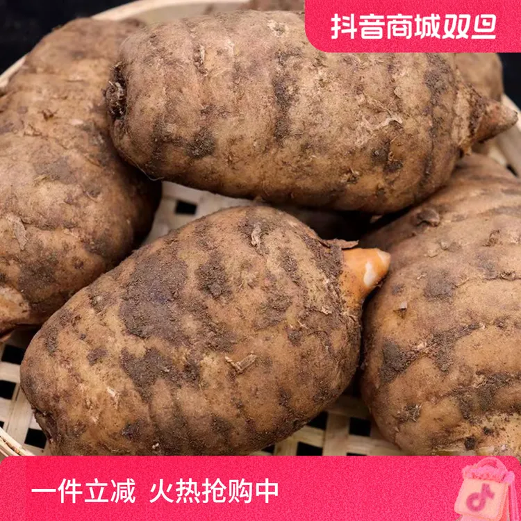 原自云南昭通小草坝高山种植新鲜乌天麻新鲜采挖带土发货坏果包赔