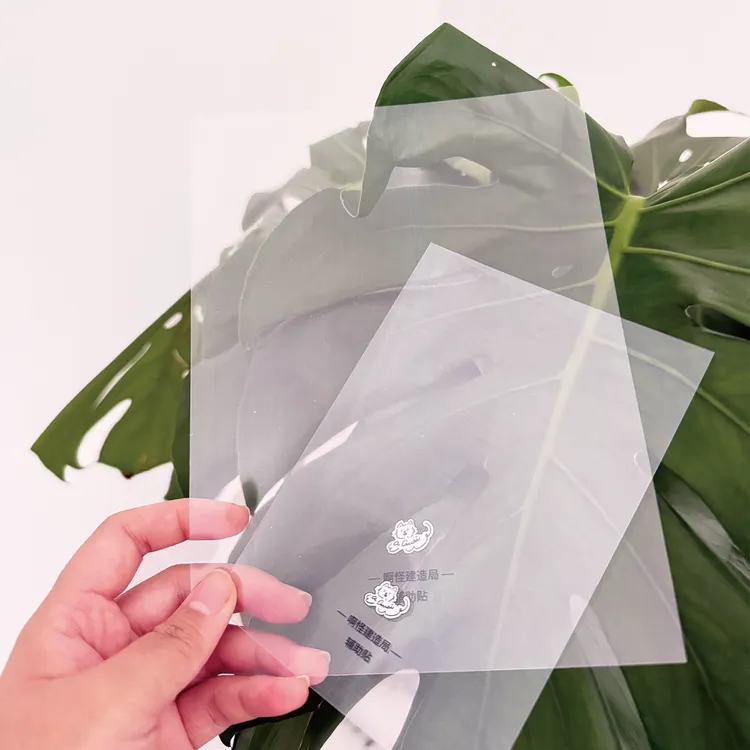 aGuai啊怪 辅助贴 造景贴纸 单面离型 透明定位工具