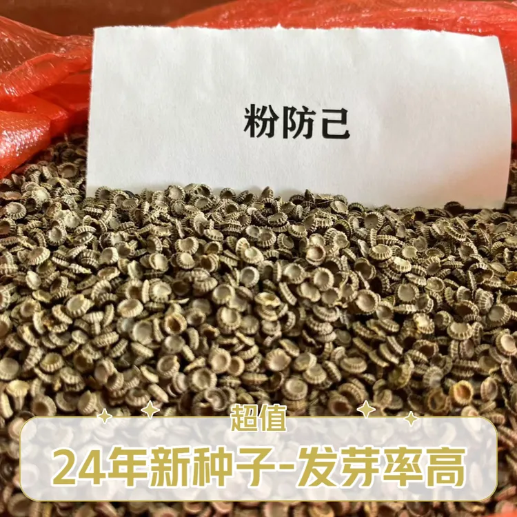 粉防己种子土木香种子粉防己种子发芽率高赠送育苗技术