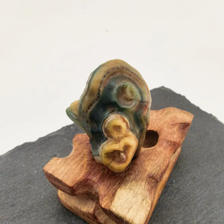 蒙玛天目天眼石眼睛石奇石钱币石戈壁石原石皮壳包浆厚重独品