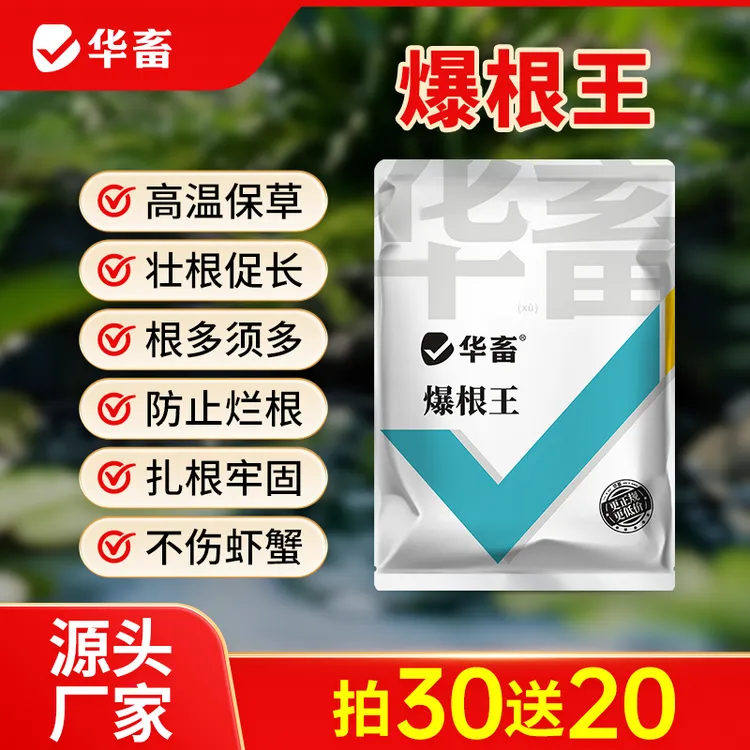 【拍30发50】爆根王壮根水草生根保草促长长根 宝水草生根粉S