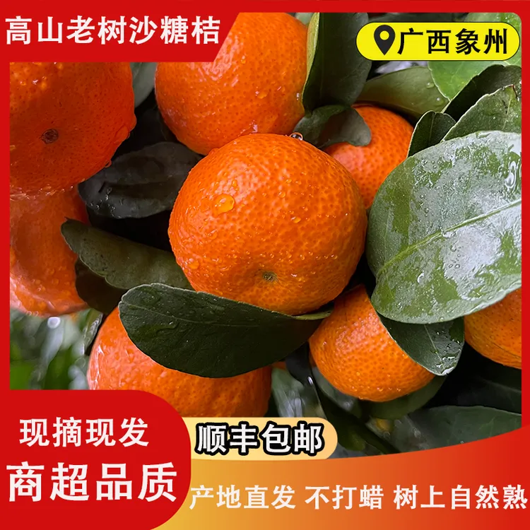 【顺丰包邮】正宗广西沙糖桔高山砂糖橘老树现摘新鲜应季当季水果