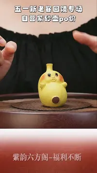 茶壶紫砂A宜兴紫砂壶8