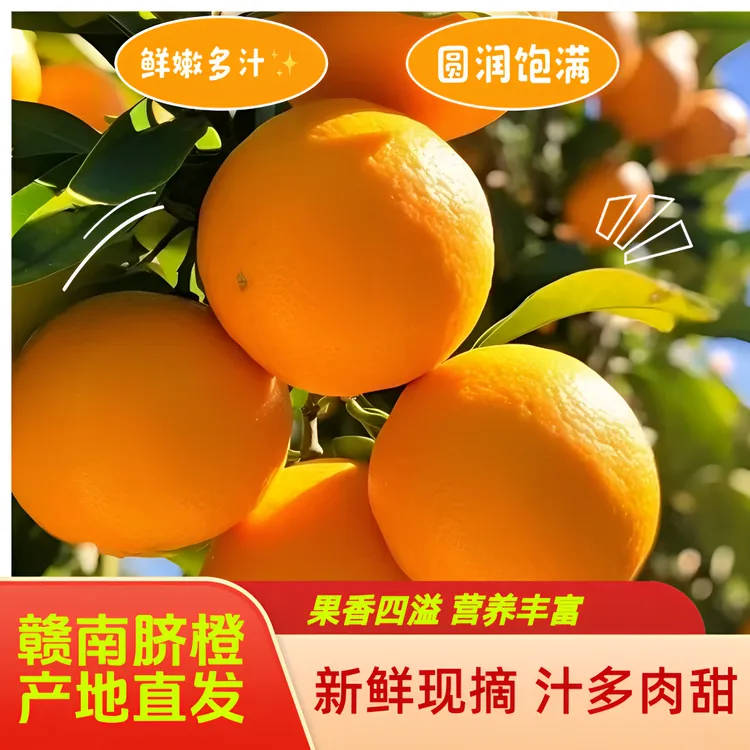 【现摘正宗赣南脐橙】信丰应季水果新鲜橙子产地直发特产好吃大果