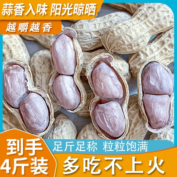 【到手4斤】25年精选新货蒜香花生咸酥花生带壳熟花生下酒水煮花生