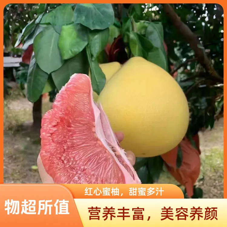 [1个装]广东梅县红心蜜柚新鲜现摘皮薄肉厚多汁酸甜可口应季水果