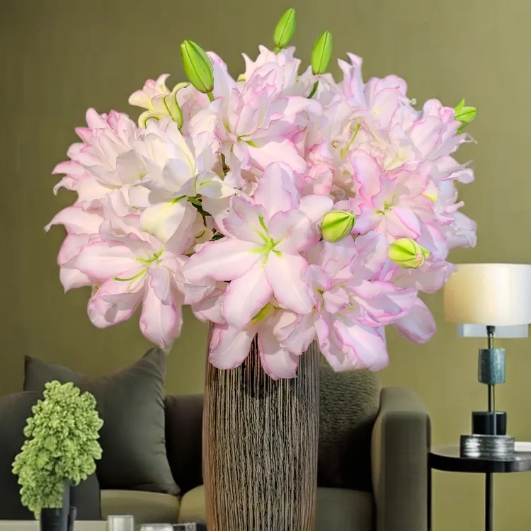 云南木木花卉 冰美人 重瓣香水百合浪漫雅致清新芳香层次感鲜花