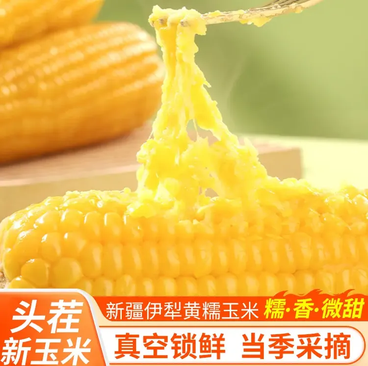 【新疆糯玉米】黄糯冰淇淋玉米软糯8根真空包装早餐即食糯玉米