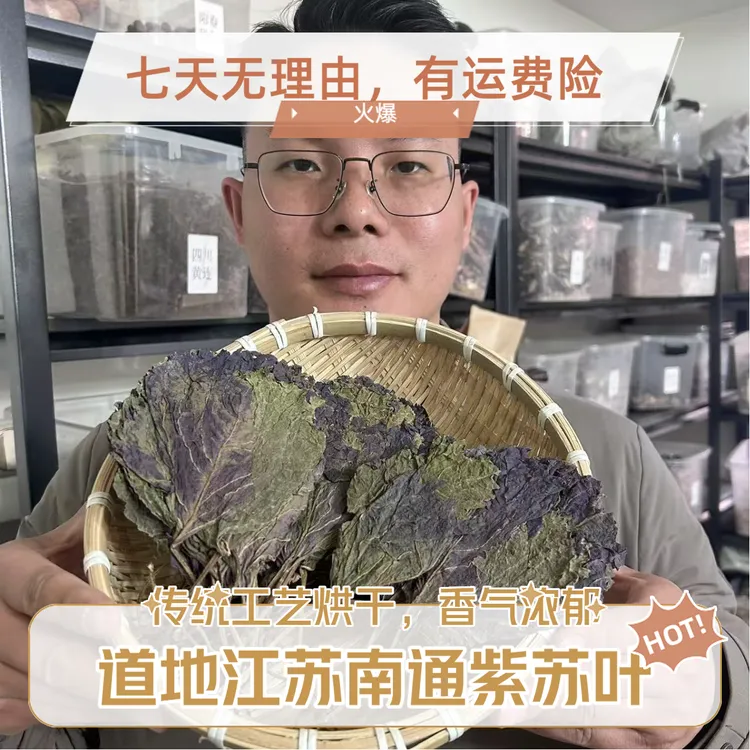 【本草李博士】无硫紫苏叶道地正宗江苏南通紫苏叶紫苏梗配甘草