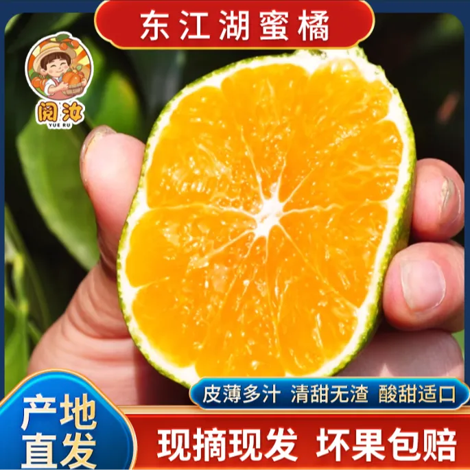【青草蜜桔】】东江湖蜜桔 皮薄多汁无籽无核蜜橘 现摘新鲜速达