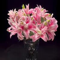 【云舍花卉】【海星公主】重瓣百合 全场任意满两单及以上鲜花包邮