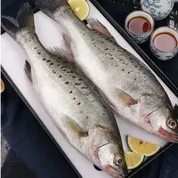 整条深海鲈鱼 肉质新鲜鲜嫩 冷冻1-1.1斤/条 到手3+1条