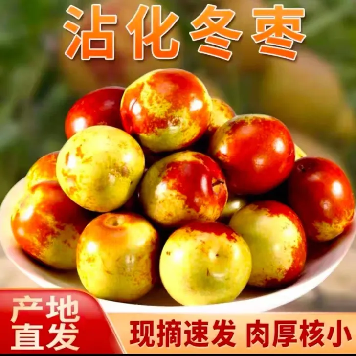 正宗沾化S冬枣脆甜新应季水果现摘脆甜鲜枣脆枣