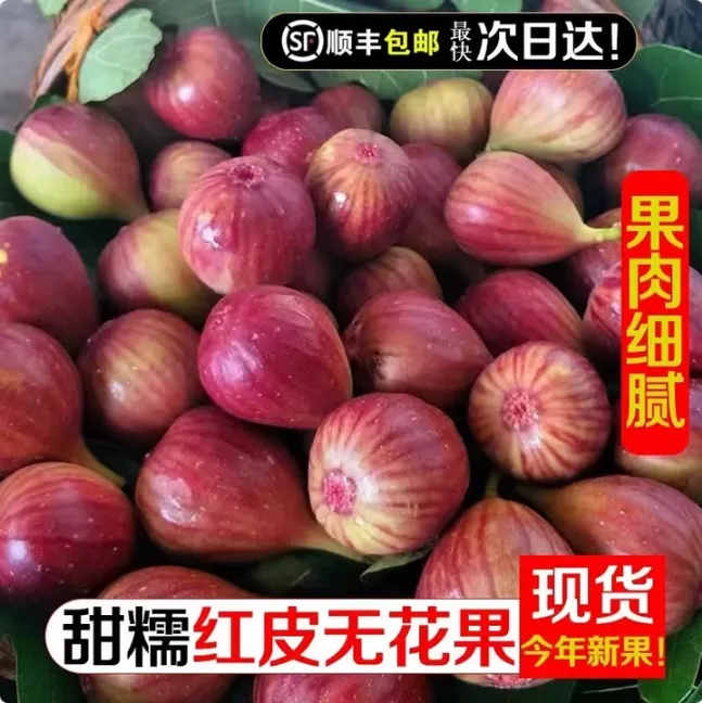 【顺丰冷链发货】云南红皮无花果鲜果现摘发老味道无花果当季水果