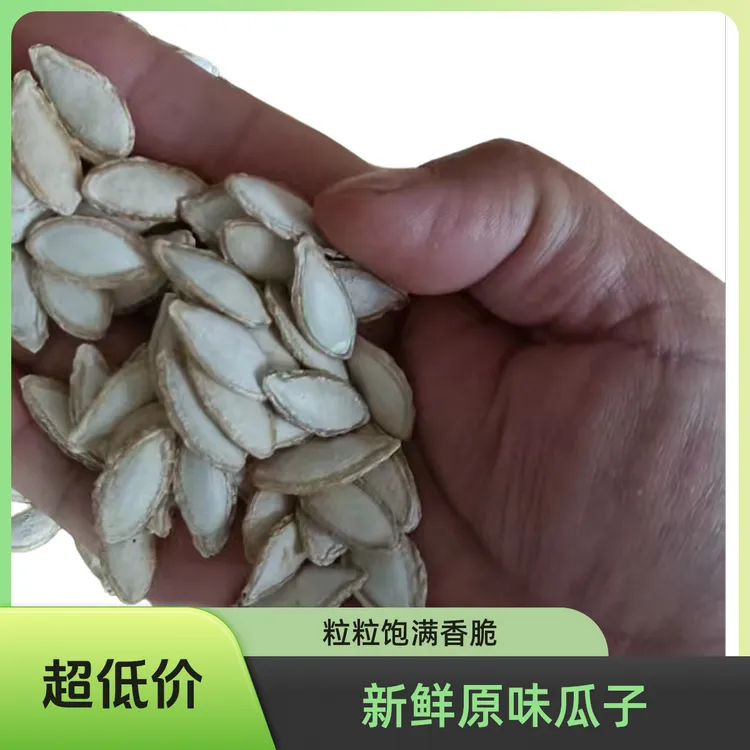 云南带壳毛边自然晒干颗粒饱满正宗净重老云南大理南瓜子