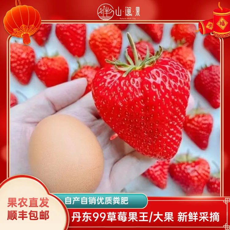 【果农直发】正宗丹东99牛奶草莓现摘现发顺丰空运坏果包赔孕妇可食商品图