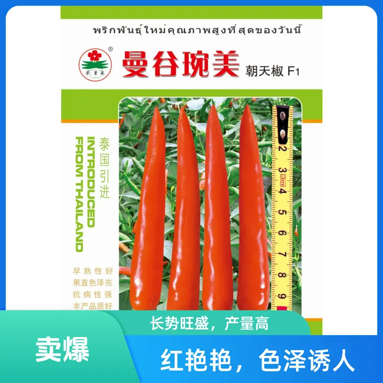 曼谷琬美艳红朝天椒种籽