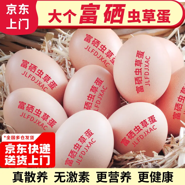 【京东上门】50枚黄河滩散养新鲜土鸡蛋农家土鸡蛋营养喂养农场直发