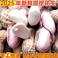 b新鲜现挖带壳湿花生农家自种可生吃水煮当季花生