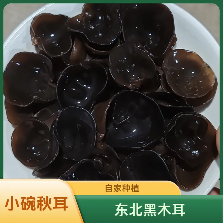 【小碗秋耳】25年新品新货东北长白山黑木耳自家种植