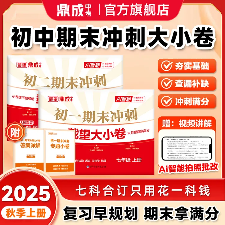 初中《期末冲刺大小卷》2025新初一初二精准考点全科提分期末总复习