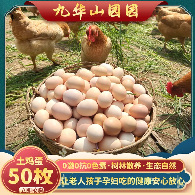 安徽九华山高山林区农家散养土鸡蛋大草鸡蛋农家散养正宗土鸡蛋商品图