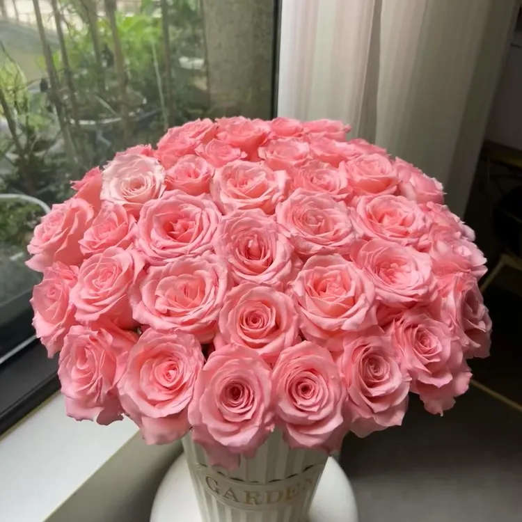 【云舍花卉】戴安娜单头玫瑰全场任意满2单及以上鲜花包邮