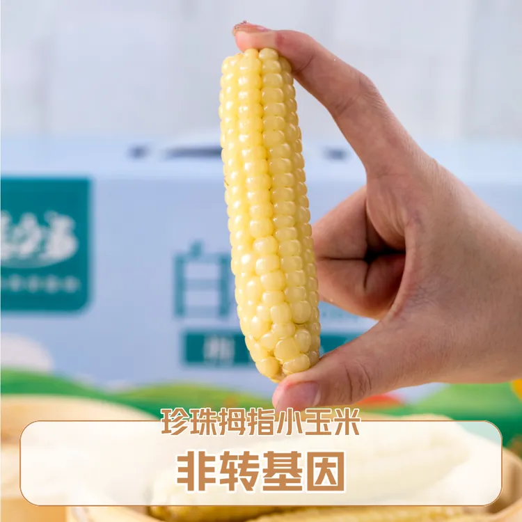 吃小点®A果【白糯拇指小玉米】香甜软糯 细腻无渣 新鲜（中秋礼盒装）