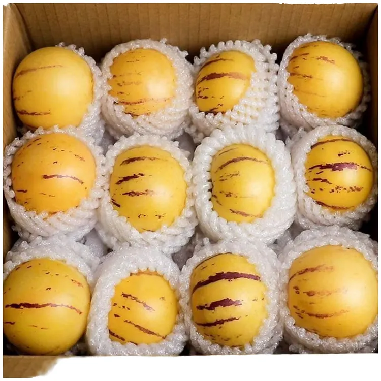 【真树上熟】云南石林树上熟人参果当季新鲜水果人生果