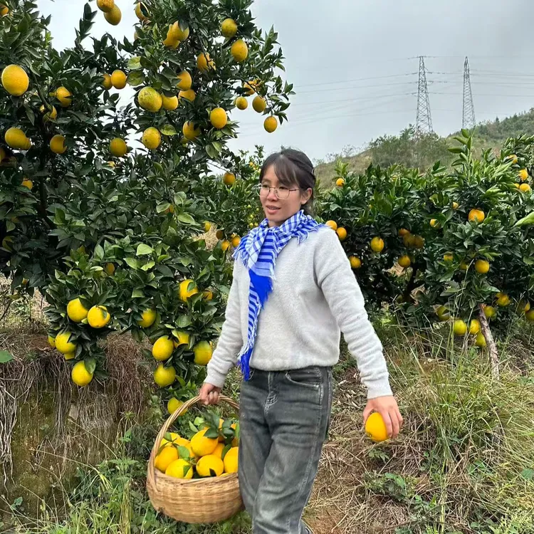 顺丰直达江西赣南脐橙10斤20斤当季新鲜水果手剥橙子甜橙新鲜采摘