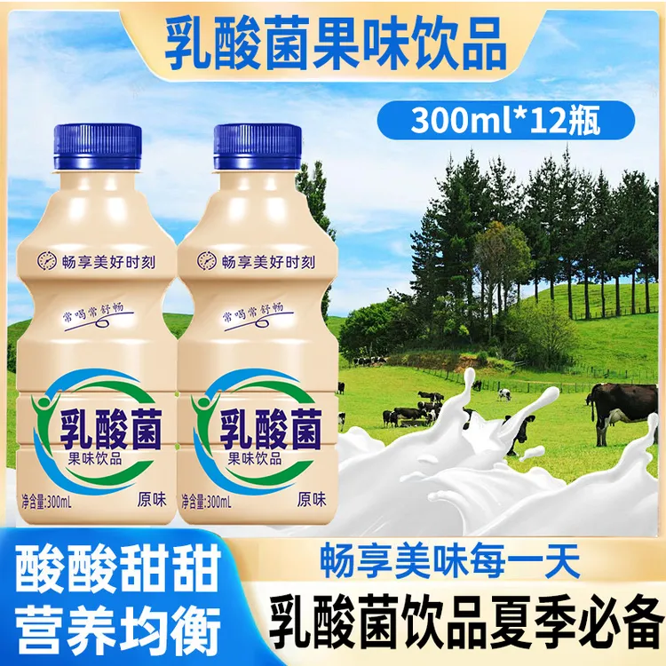 乳酸菌厂家批发300ml*12瓶新日期风味酸奶早餐饮品整箱养胃饮料