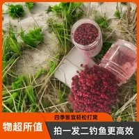 拍一发二  钓鱼麦粒四季通用钓鱼打窝