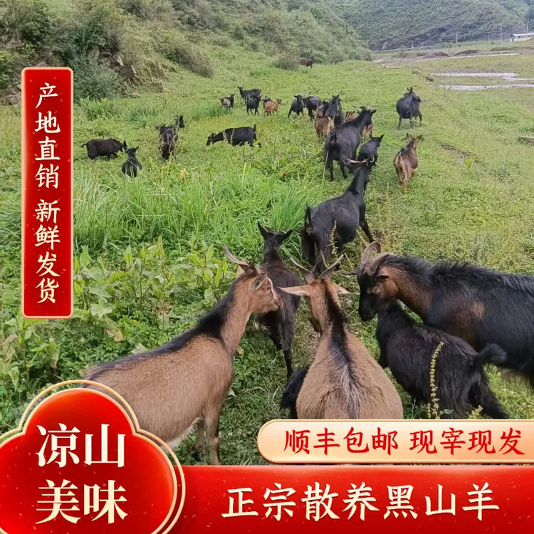 四川凉山美姑农家高原放养黑山羊肉 新鲜宰杀发货3斤/5斤装