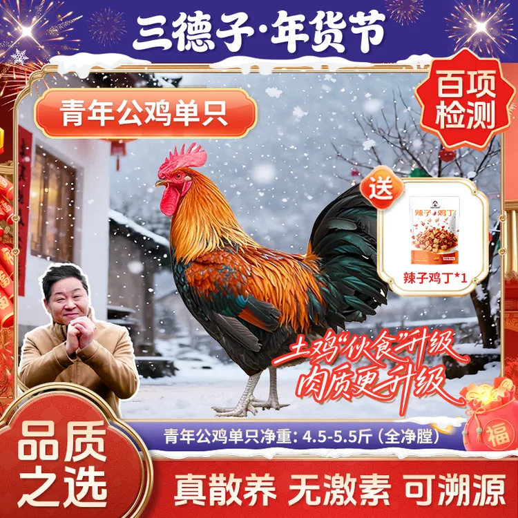 三德子【1只青年公鸡】山地散养200天吃肉炖汤生态鸡跑山鸡新鲜美味