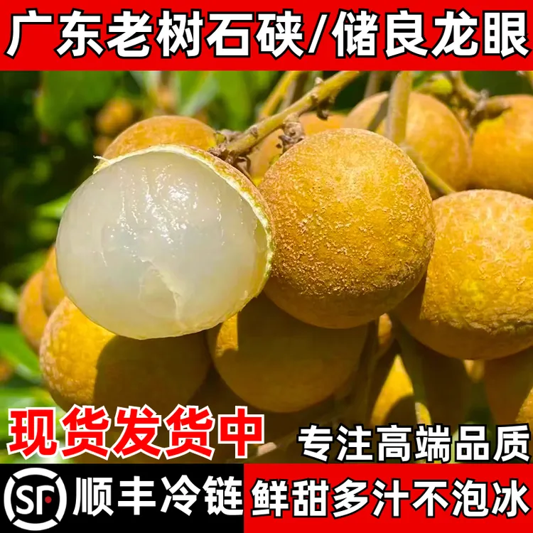 正宗广东老树储良石硖龙眼新鲜现摘桂圆孕妇水果现发顺丰包邮龙眼