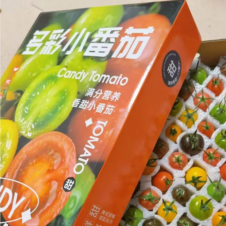 顺丰包邮       多彩小番茄精包装