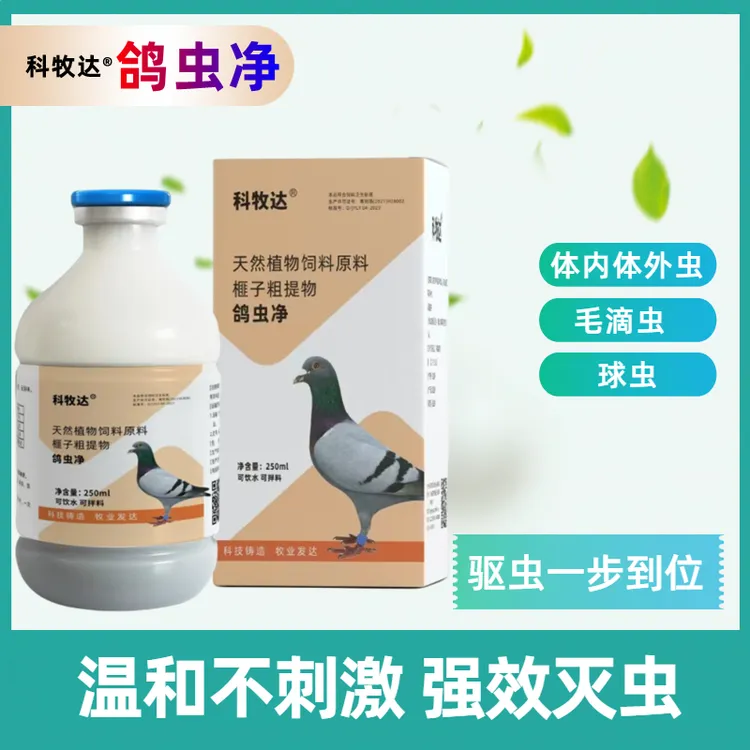 鸽子清虫鸽虫净250ML体内外毛滴球虫不伤鸽
