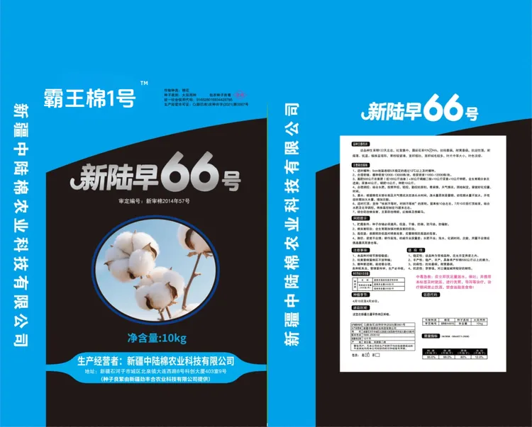 劲丰合 霸王棉1号 （意向）