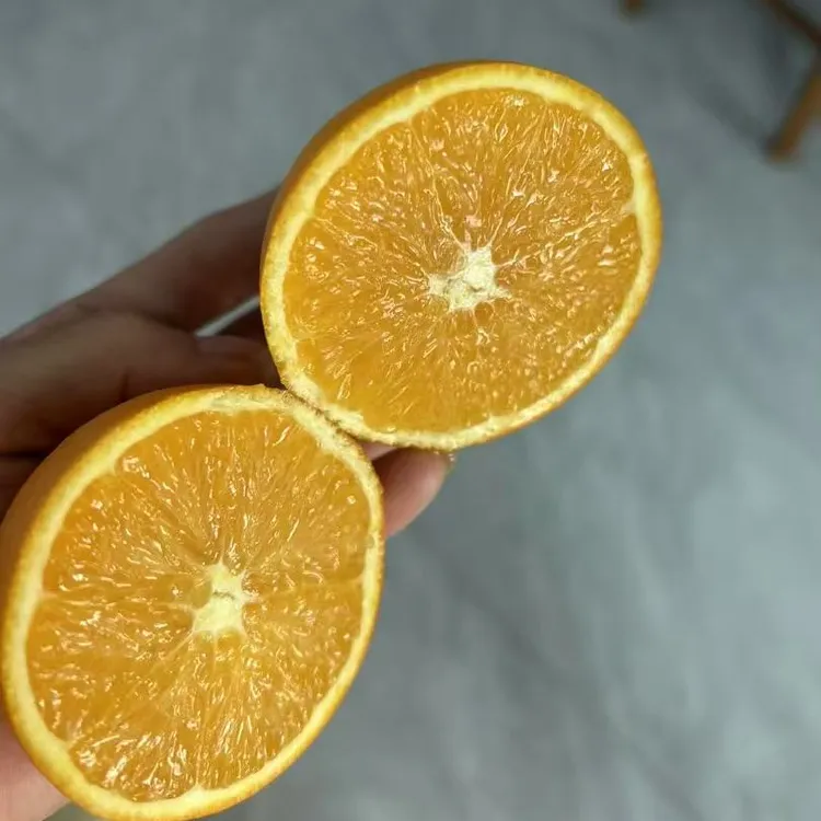 新鲜采摘赣南脐橙现摘现发当季水果孕妇小孩可食用