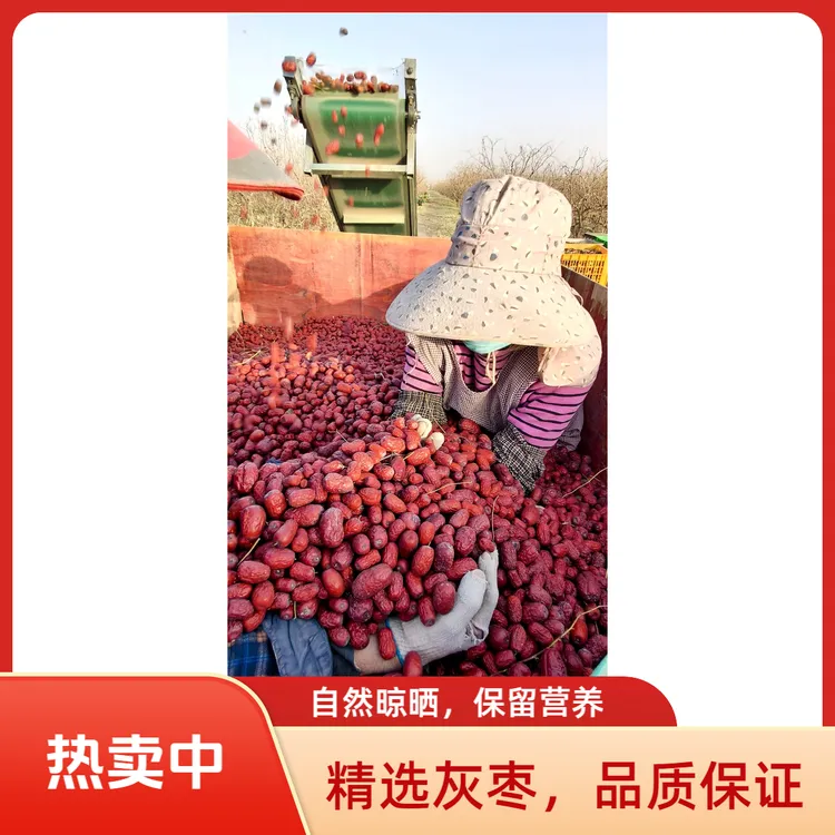 【甄选枣福记】正宗新疆灰枣2025新下树吊干灰枣带灰新疆发货5kg装