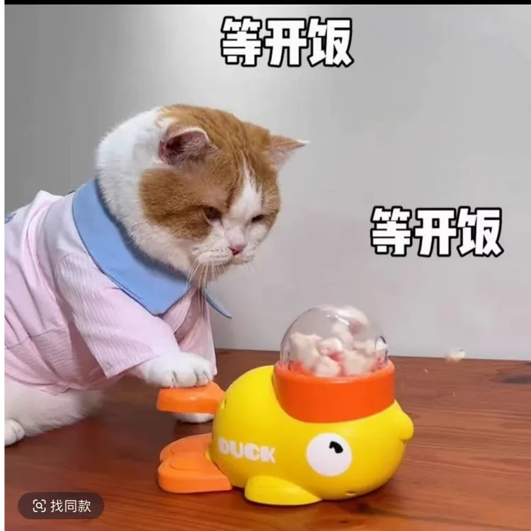 【旗舰店】小黄鸭宠物漏食器猫咪狗狗互动训练解闷玩具