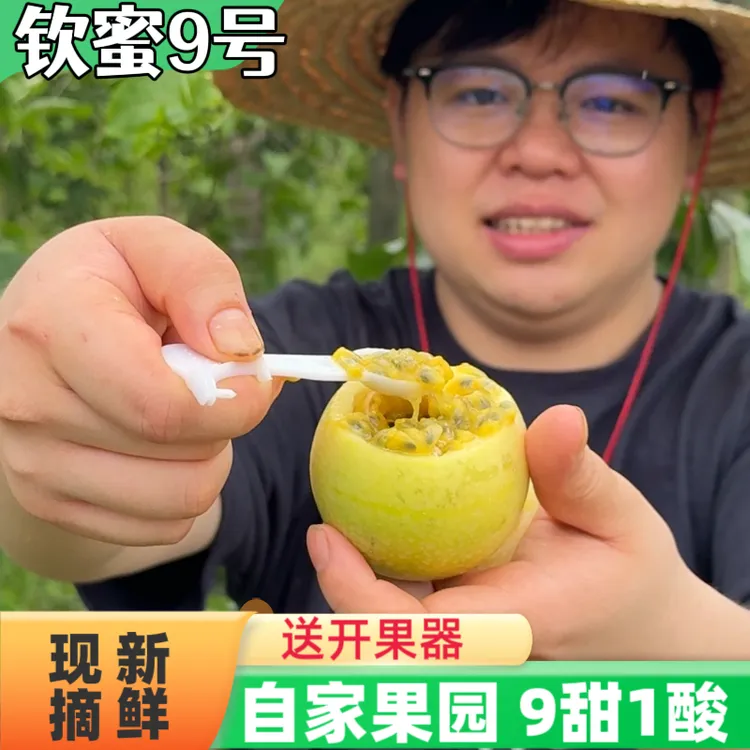 【桂林高山百香果】钦蜜9号黄金百香果精品爆甜新鲜现摘百香果新鲜