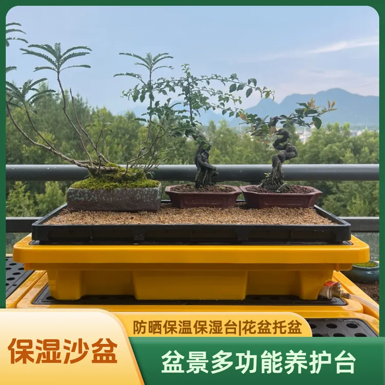 小盆景专用花盆托盆养护沙盆遮阳保温保湿可排水多功能盆景养护台