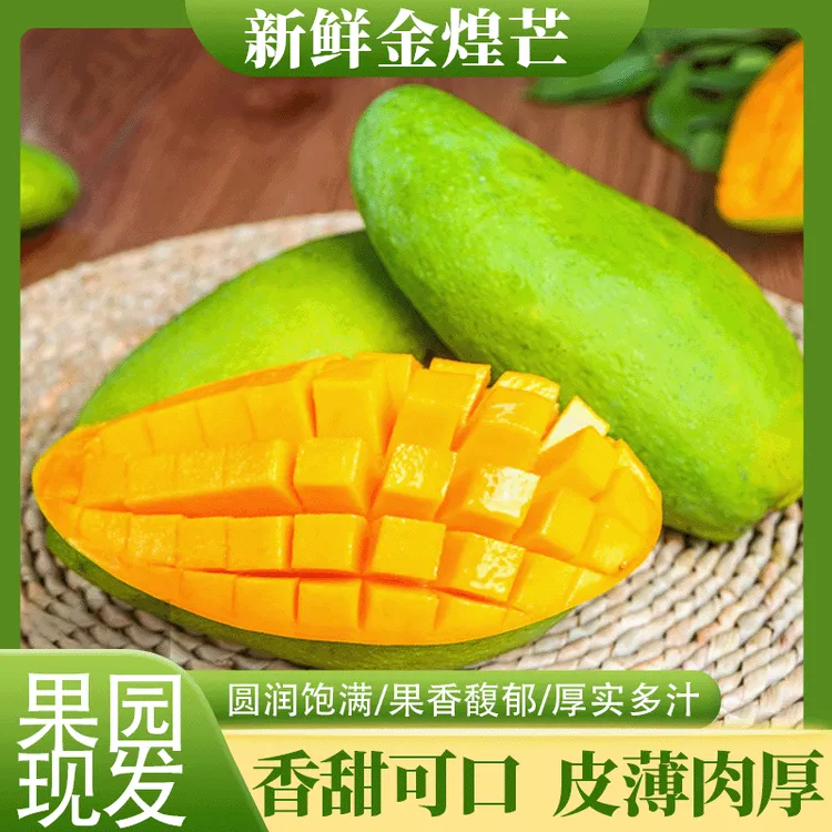 【金煌芒】金煌芒果中果肉厚皮薄核小多汁果园现摘现发新鲜当季水果